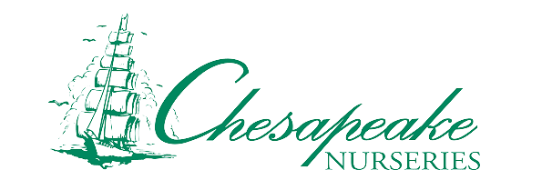 Chesapeake Nurseries Logo