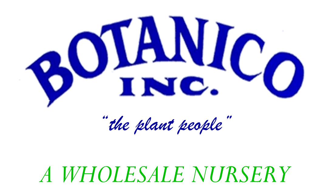 botanico logo
