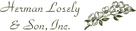 losely logo-web